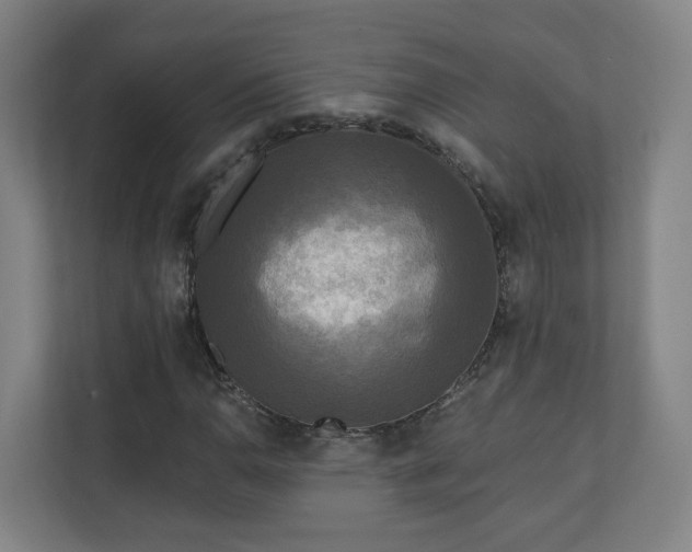 X0000110941110200906191225