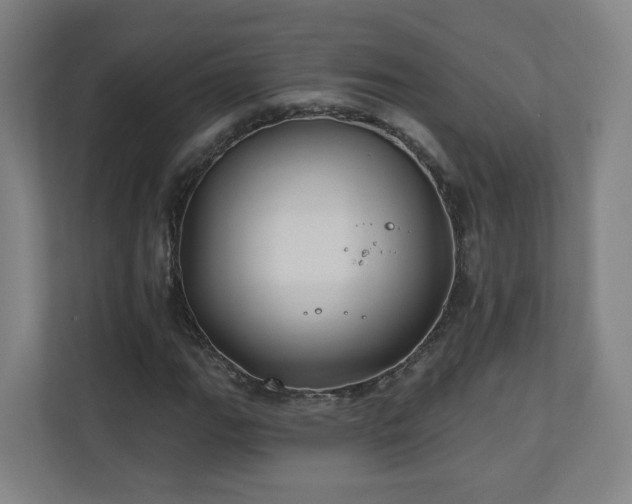 X0000110941111200906191225