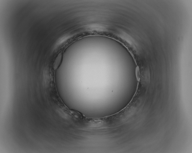 X0000110941112200906191225