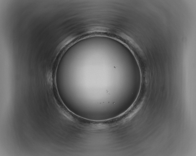 X0000110941113200906191225