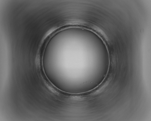 X0000110941114200906191225