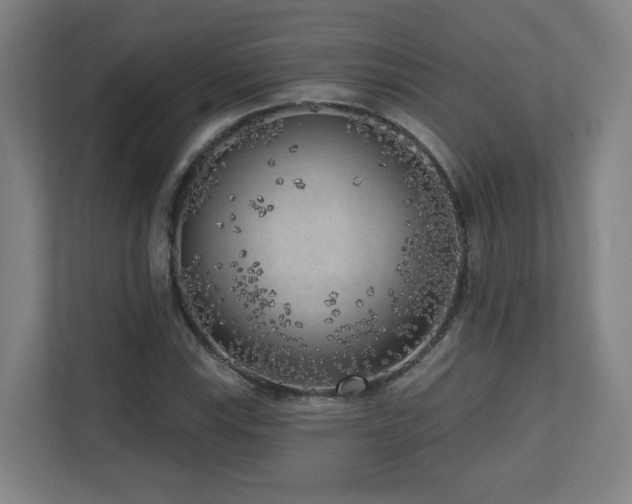 X0000110941115200906191225