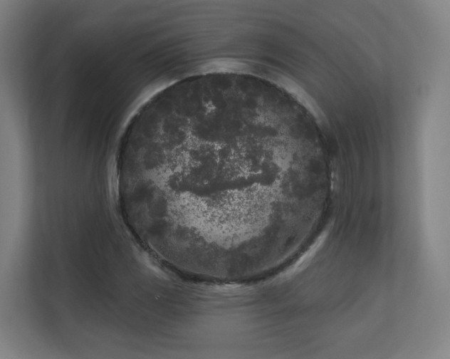 X0000110941117200906191225