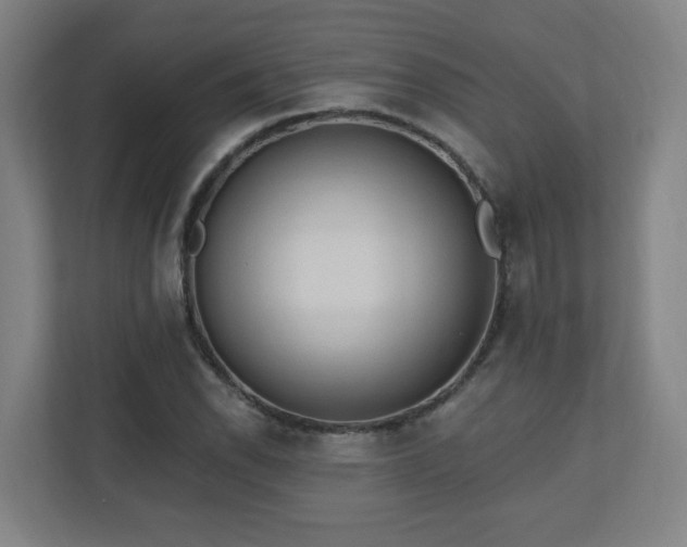 X0000110941118200906191225