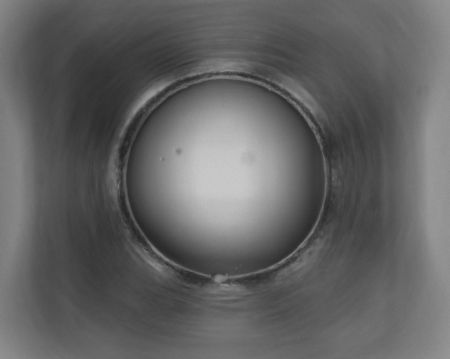 X0000110941119200906191225