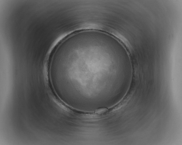 X0000110941120200906191225