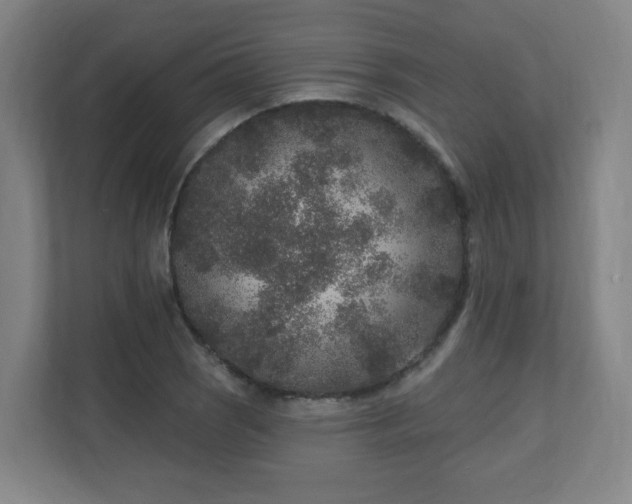 X0000110941121200906191225