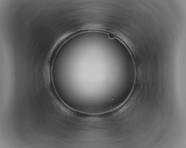 X0000110941123200906191225