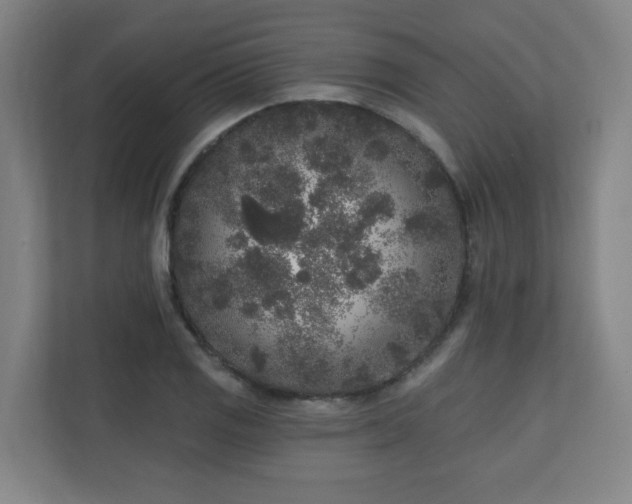 X0000110941125200906191225