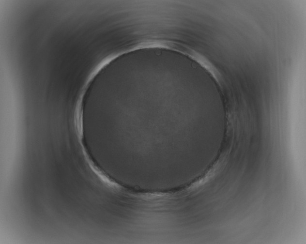 X0000110941127200906191225