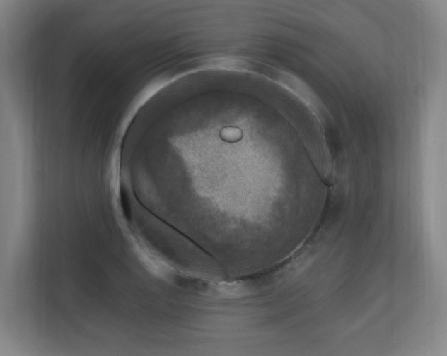 X0000110941128200906191225