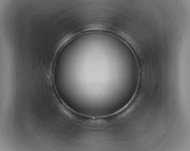 X0000110941129200906191225