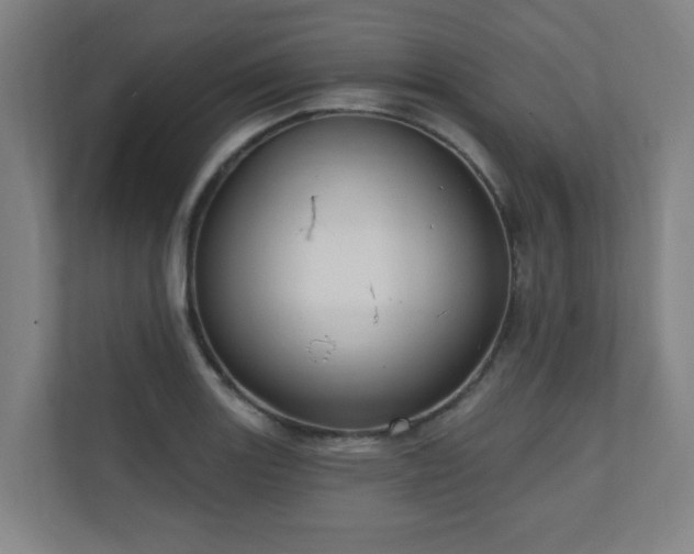 X0000110941131200906191225