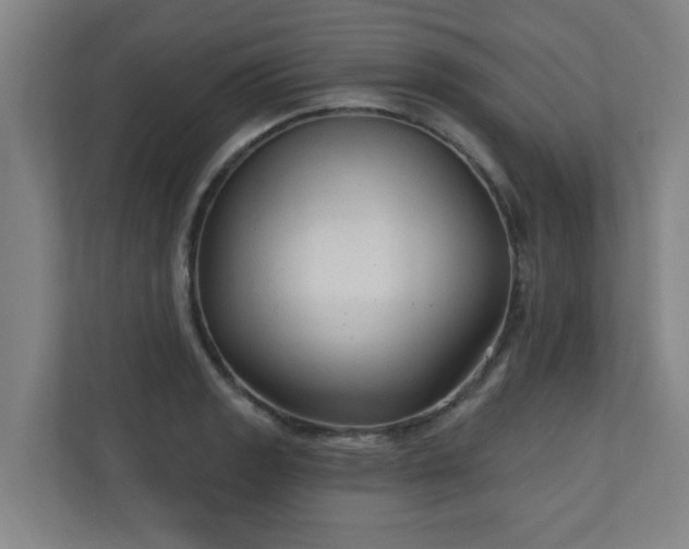 X0000110941133200906191225