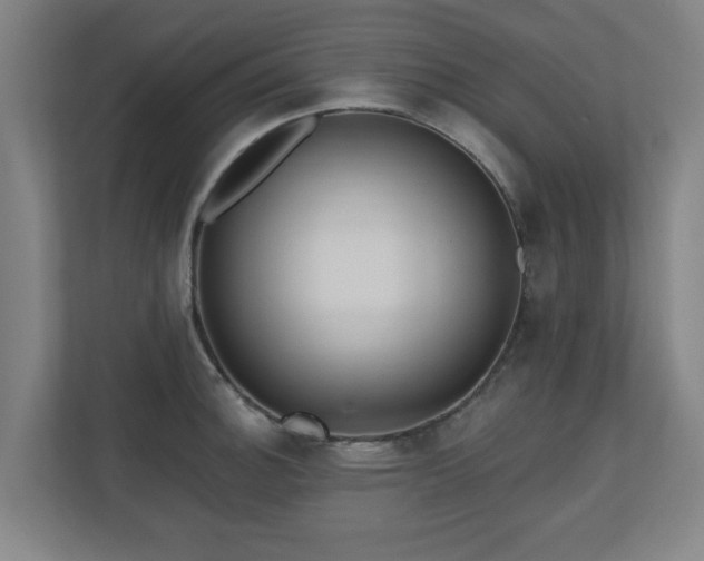 X0000110941140200906191225