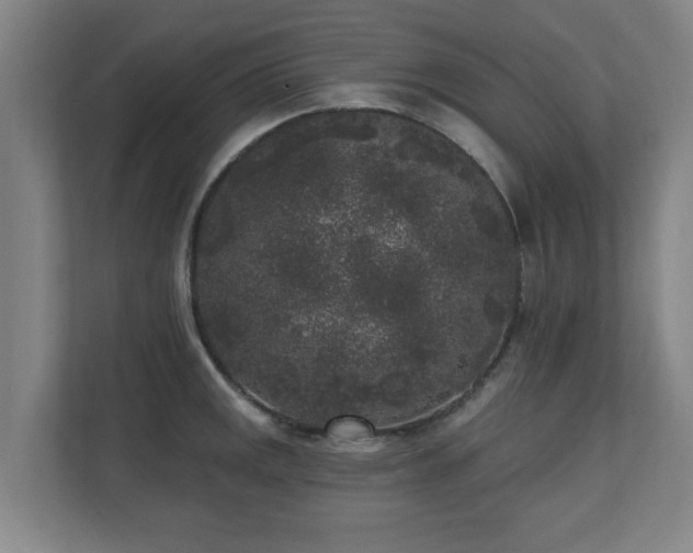 X0000110941141200906191225