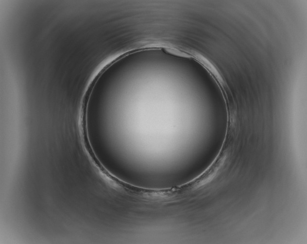 X0000110941149200906191225