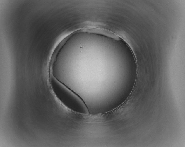 X0000110941152200906191225