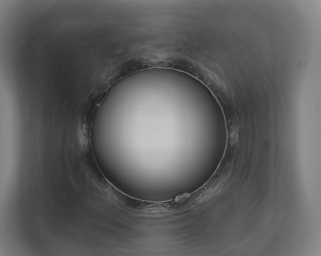 X0000110941156200906191225