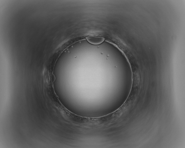 X0000110941158200906191225