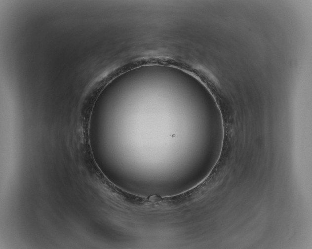 X0000110941159200906191225