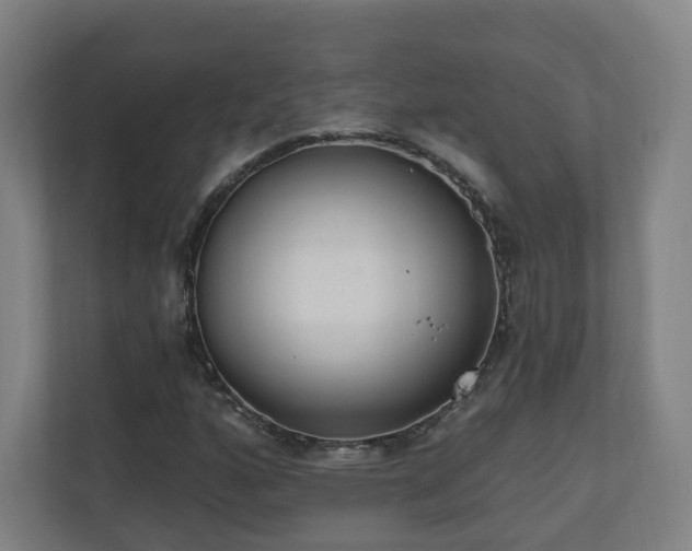 X0000110941160200906191225