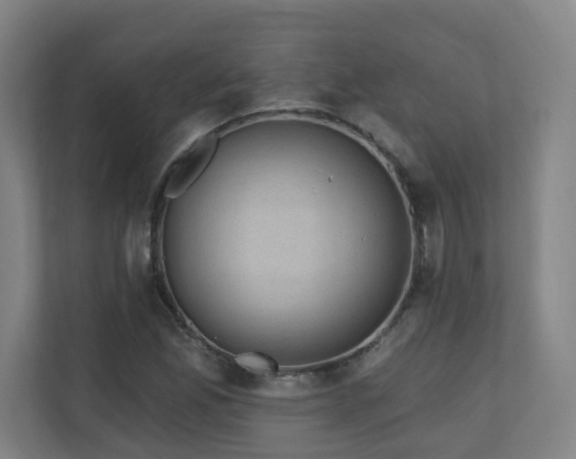 X0000110941165200906191225