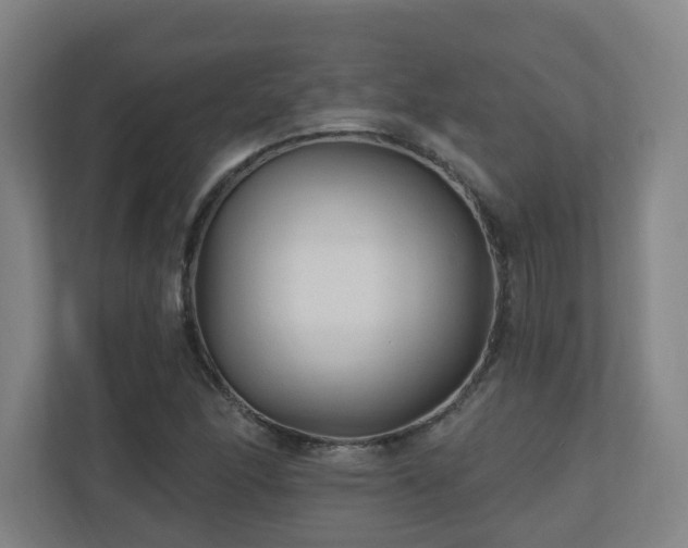 X0000110941166200906191225