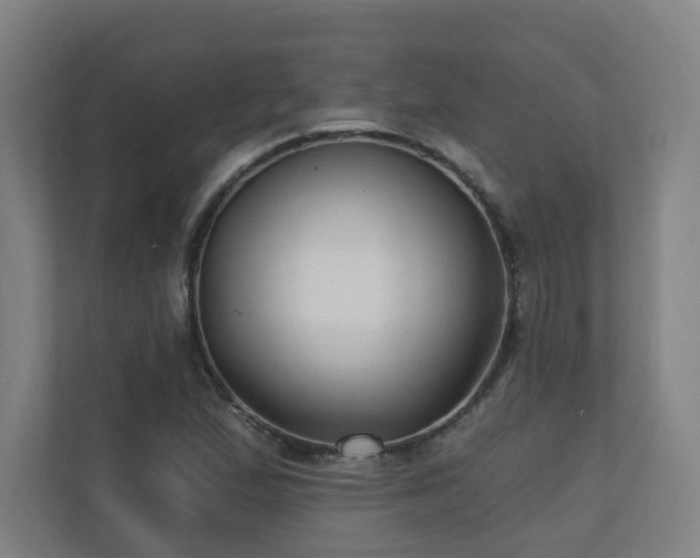 X0000110941167200906191225