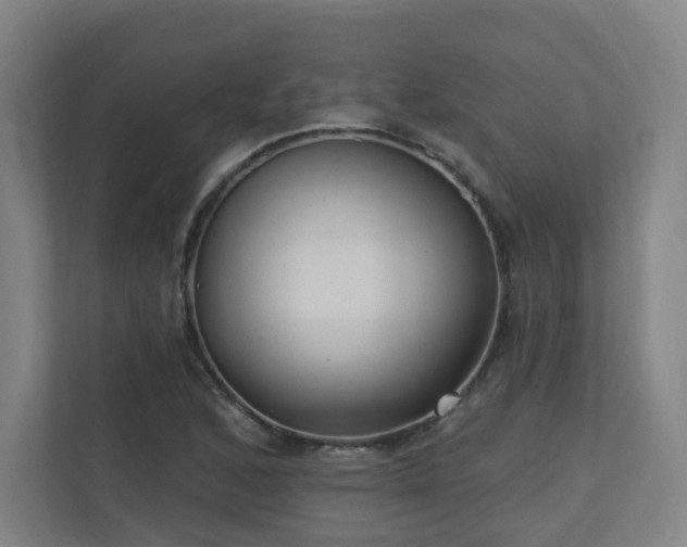 X0000110941168200906191225