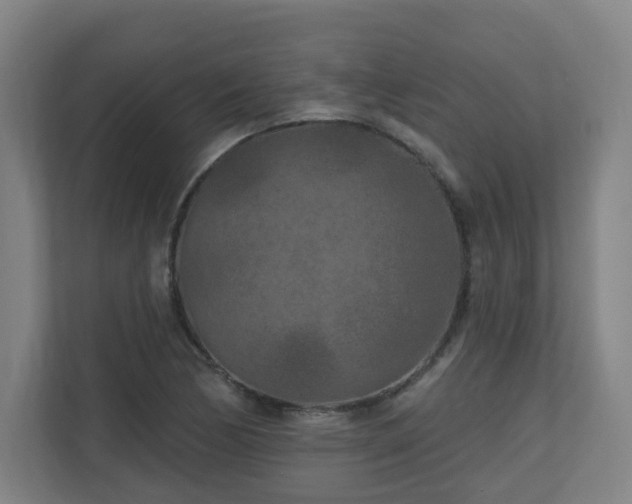 X0000110941170200906191225