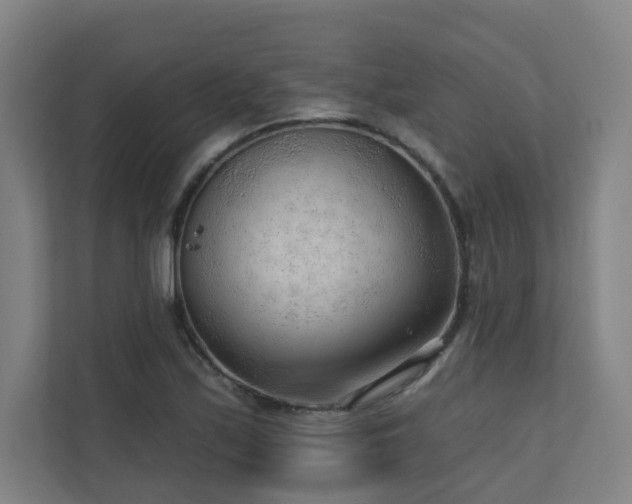 X0000110941171200906191225