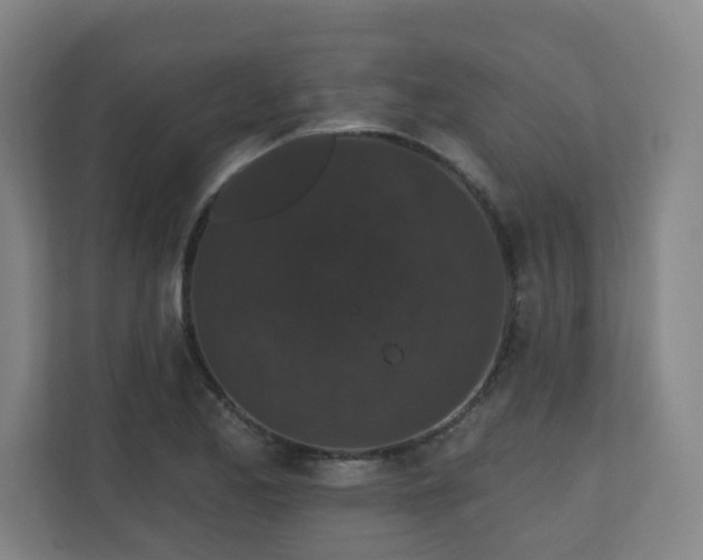 X0000110941173200906191225