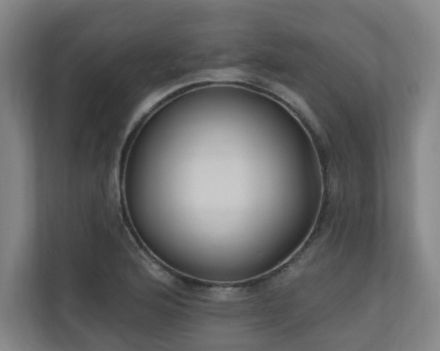 X0000110941176200906191224