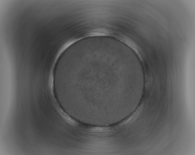 X0000110941179200906191224