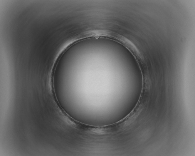 X0000110941182200906191224