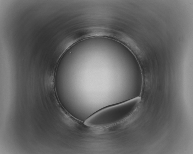 X0000110941185200906191224