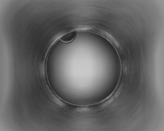 X0000110941186200906191224