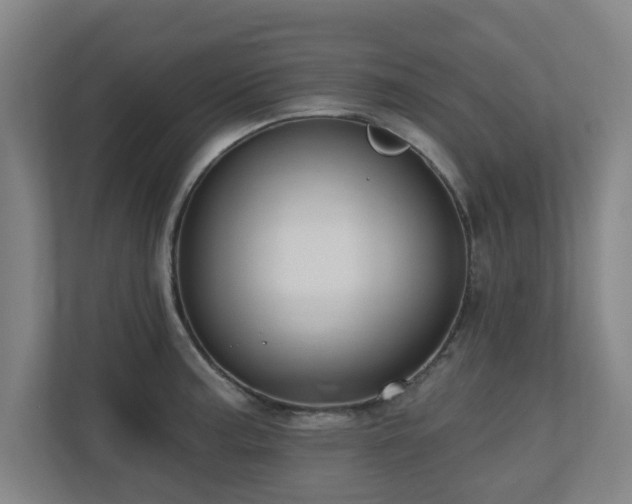 X0000110941187200906191224