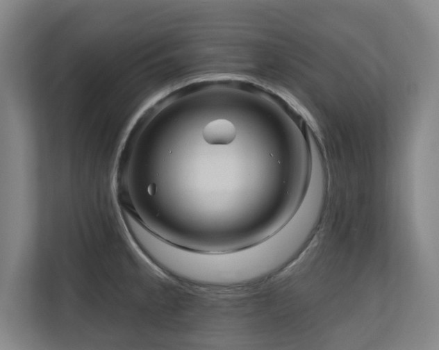 X0000110941189200906191224