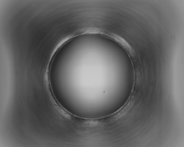 X0000110941190200906191224