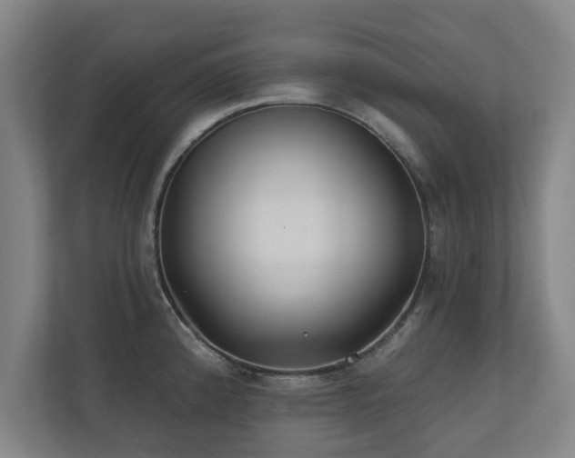 X0000110941192200906191224