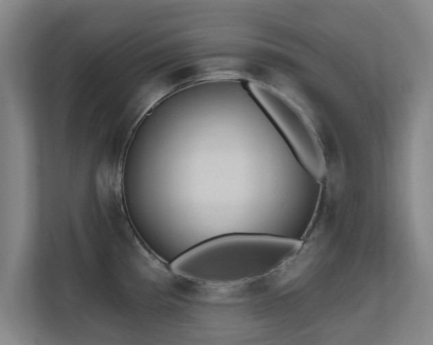 X0000110941193200906191224