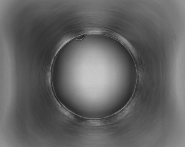 X0000110941194200906191224