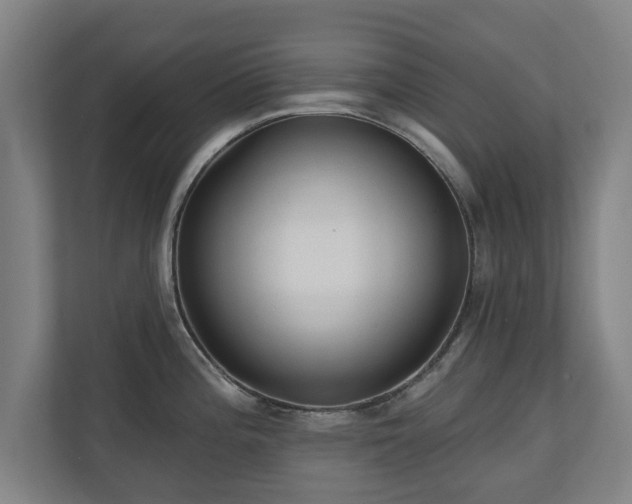 X0000110941196200906191224