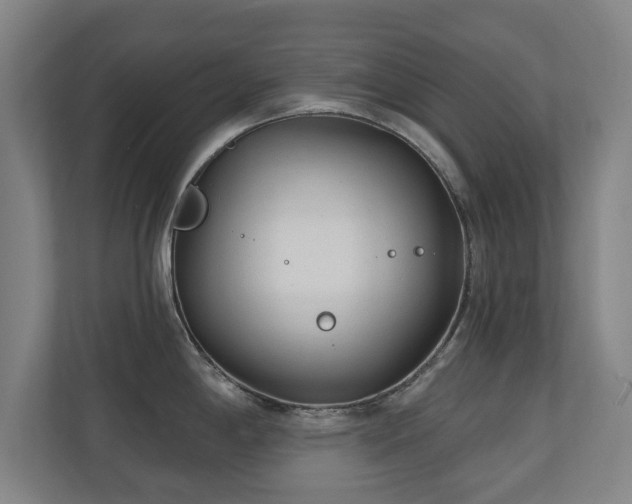 X0000110941198200906191224