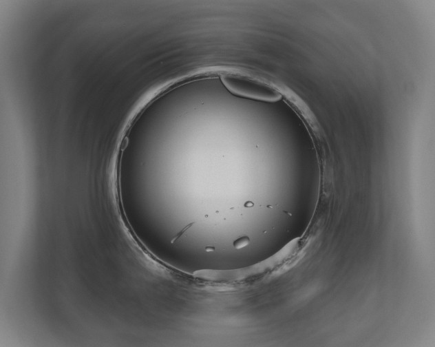 X0000110941199200906191224