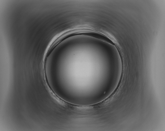 X0000110941200200906191224