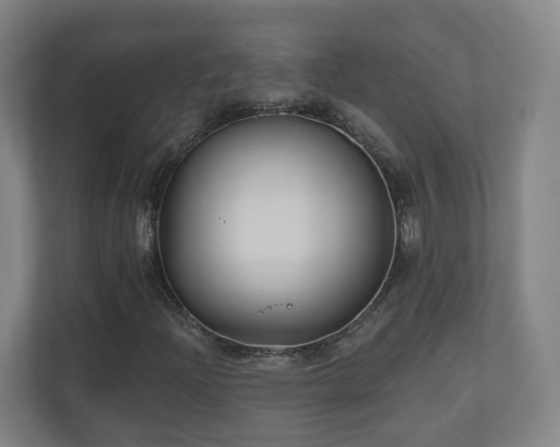 X0000110941204200906191224