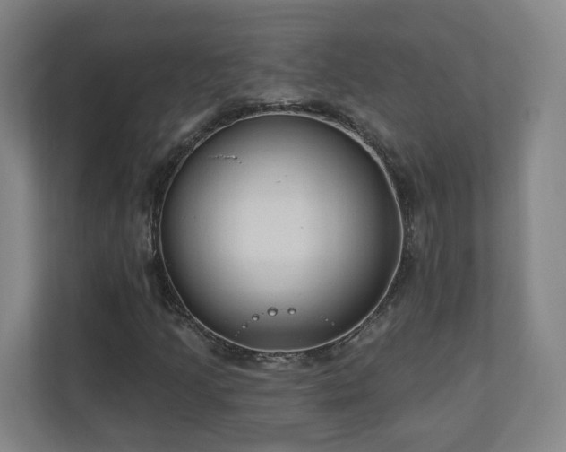 X0000110941205200906191224